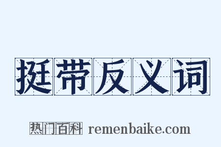 挺带反义词是什么意思的图片